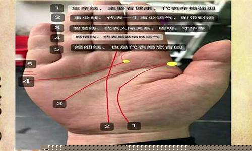 如何看手纹(如何看手纹算命)-易学网