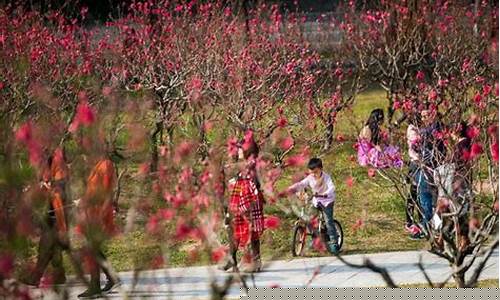 图片[1]-如何化解桃花劫(女人桃花劫会发生什么)-易学网