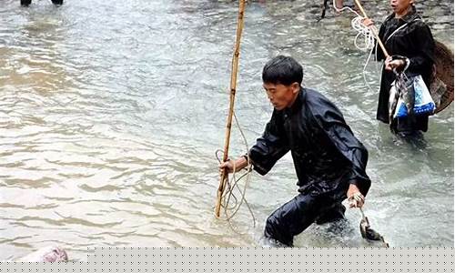 图片[1]-做梦梦到抓鱼(做梦梦到抓了好多鱼是什么意思周公解梦)-易学网
