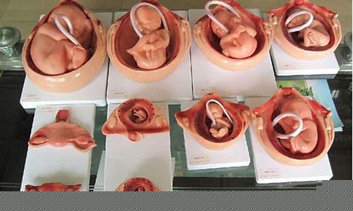 图片[1]-梦到怀孕生孩子是什么意思(晚上做梦梦到怀孕生孩子是什么意思)-易学网
