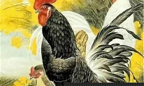 图片[1]-七月的鸡的命运如何(七月的鸡命运怎么样)-易学网