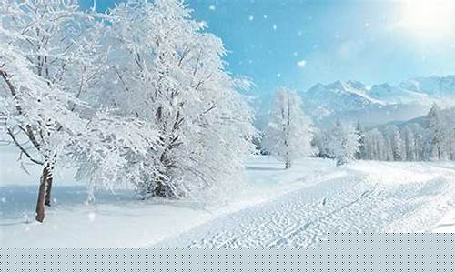 梦到雪(梦到雪是什么征兆)-易学网
