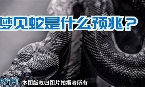 做梦梦到小蛇(做梦梦到小蛇爬到身上)-易学网