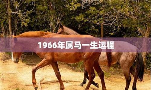 属马一生命运如何(属马一生命运如何女)-易学网