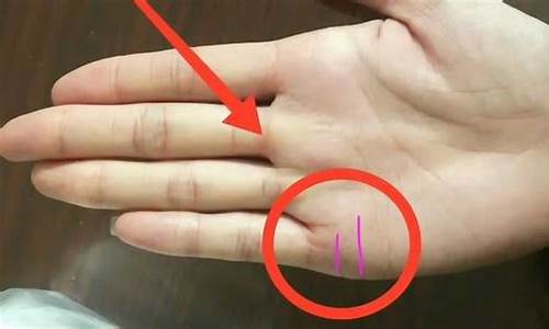 图片[1]-手相如何看婚姻(手相如何看婚姻线有细小的分叉)-易学网