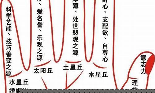 掌纹如何看(掌纹如何看财运)-易学网