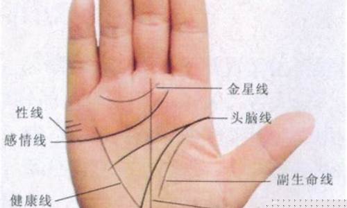 手相如何看婚姻(手相如何看婚姻线有细小的分叉)-易学网